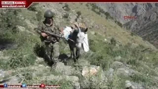 Güvenlik güçleri, Dağlıca Bölgesinde teröristlere göz açtırmıyor