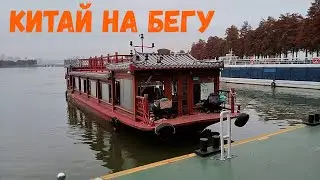 #32 Павлины и драконы