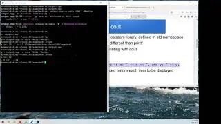 Intro to cout and cin in C++