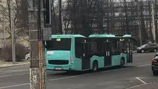 Питер 20 ноября