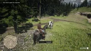 Guy Shoots His Horse For Losing A Race - Red Dead Redemption 2