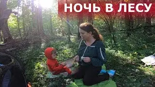 Поход в лес. Откровения у костра.