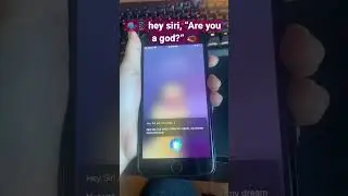 🗣📱 hey siri, “Are you a god?” 🦔