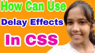 Animation Delay Effects in CSS||