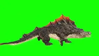 Monster Crocodile Green Screen