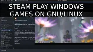 How to Move +Play Windows games on Linux with Steam Play, Last Remnant, GamingOnLinux