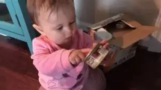 Stevie at 10 months old playing with cans of cat food