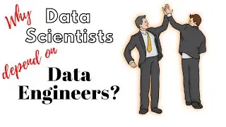 Why Data Scientists need Data Engineers? What's the difference between their role? | ThingsToKnow