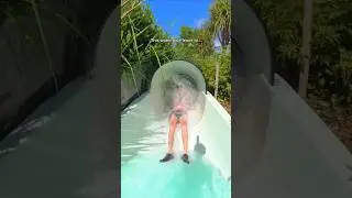 Weird WATER HOLE attraction