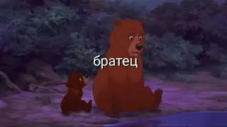 Братец король лев Кода и Симба