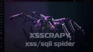 Kali Linux Tools -XSSCRAPY XSS SQLi Spider