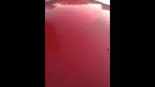 Worlds biggest water balloon popping part two