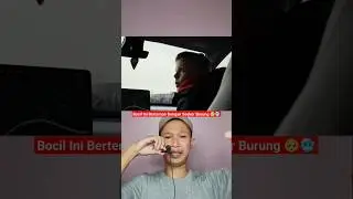 BOCIL INI BISA BERTEMAN DENGAN SEEKOR BURUNG TERLANGKA DI DUNIA 🤯 