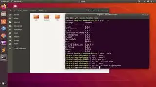 Python_41 Linux virtualenv