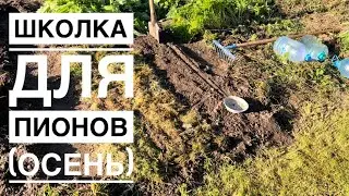 Школка (ясли) для пионов. Осень, посадка.