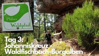 🌲Pfälzer Waldpfad (Tag 3):  Johanniskreuz nach Waldfischbach-Burgalben  4K