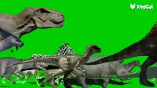 animal stampede green screen