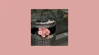 Levin Liam x Pashanim x Sampagne Type Beat 
