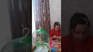 открываем киндер Маша и медведь поле робокар и шопкинс