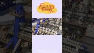 Линия по производству пальмового масла, пресс для пальмового масла #оборудование #технология