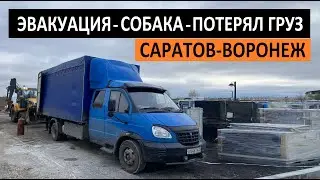 САРАТОВ - ВОРОНЕЖ. Эвакуация, собака, потеря груза. Перевозчик РФ