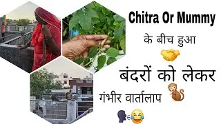 Mummy और Chitra के बीच हुई🤝🐒 बंदरों को लेकर गंभीर चर्चा..🗣😝#bandar #charcha #gossip#jaipur #rajsthan