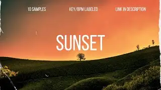 [Free] RnB Sample Pack - 