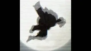 Zenitsu Phonk Edit