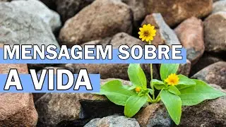 MENSAGEM SOBRE A VIDA