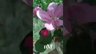 Молитва за перемогу в Україні  