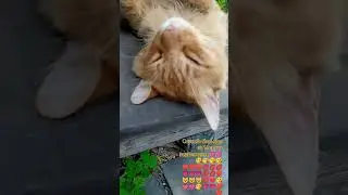Спит😘💓 Музыка Автора @simb
