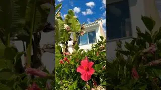 Малага Испания Что посмотреть в Испании? 