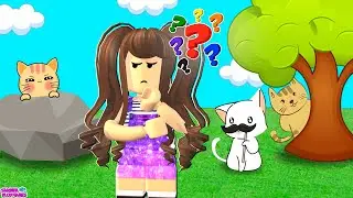 EM BUSCA DOS GATINHOS PERDIDOS - Find the Cats - Roblox