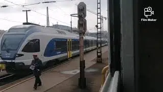 M41 csörgő hangja