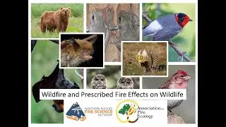 Wildfire and Prescribed Fire Effects on Wildlife Part 1