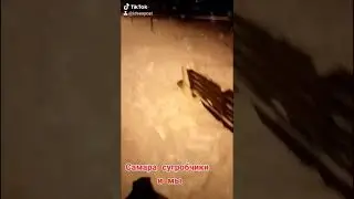 Мы