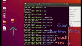 Comandos básicos Ubuntu