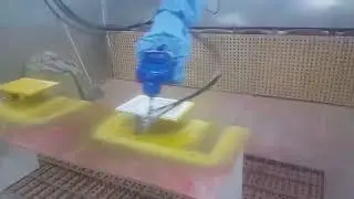Как мы красим