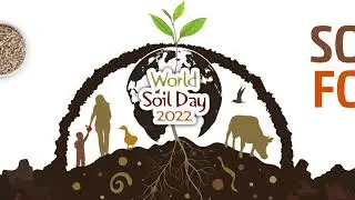 Growing population, globalized food: A #WorldSoilDay 2022 message from the World Soil Museum