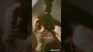 Tum to Mari jind Mari jan way / Love of Mother / Whatsapp Status