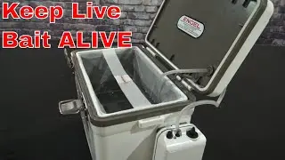 Engel Live Bait Cooler Demo