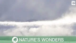 Incredible Ghost Snow Wave