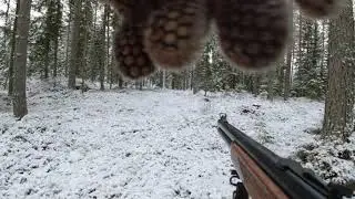 Hirvenmetsästys naaras vasan kaato