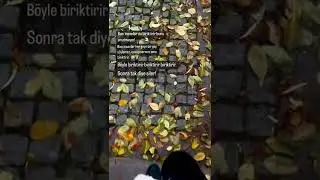 biriktirir insan