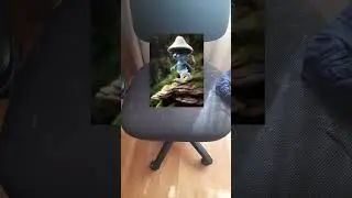 я нашёл Шалушайя?! #тренд #Шайлушай