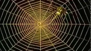 Silent Film - L'Araignée D'or (The Gold Spider)