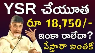 ysr cheyutha amount not credited 2024 | latest news about ysr cheyutha