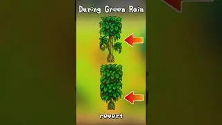Green Rain Trees - SDU  