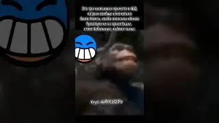 Эльпримо в ШД. Мем Brawl Stars №5.