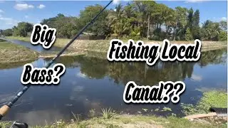 Fishing My Local Canal